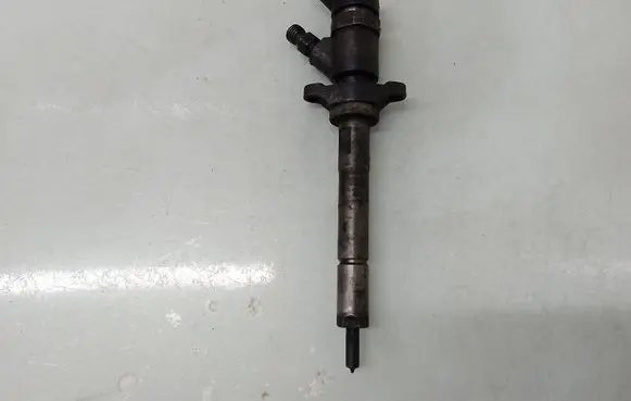 Citroen C5 Fuel injector 0445110188