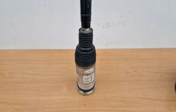 Land Rover Range Rover Sport L494 Rear shock absorber with coil spring DPLA3C285AGOE