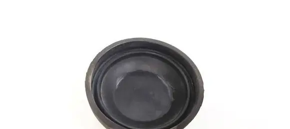 Volkswagen PASSAT B5 Headlight/headlamp dust cover 143688