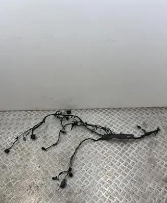 Other wiring loom