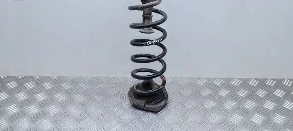 Rear coil spring