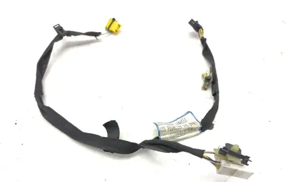 Renault Avantime Other wiring loom 6025408730