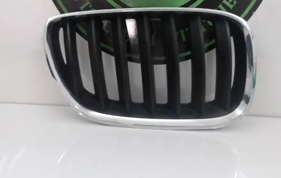 BMW X5 E53 Front bumper upper radiator grill 51137124816