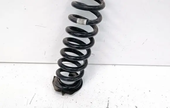 Rear coil spring