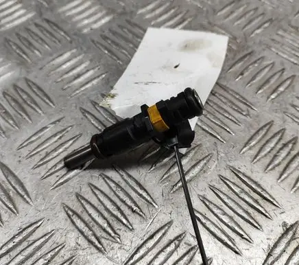 Citroen C3 Fuel injector V752817680 7528176