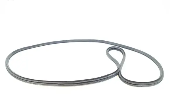 Dodge RAM Rear door rubber seal (on body) Unknown