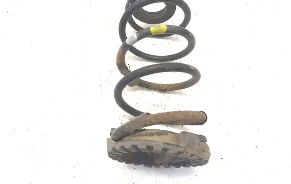Rear coil spring