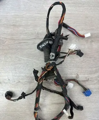 Front door wiring loom