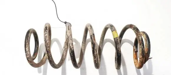 Smart ForFour I Rear coil spring