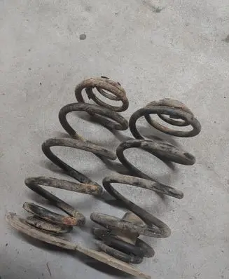 Opel Signum Rear coil spring