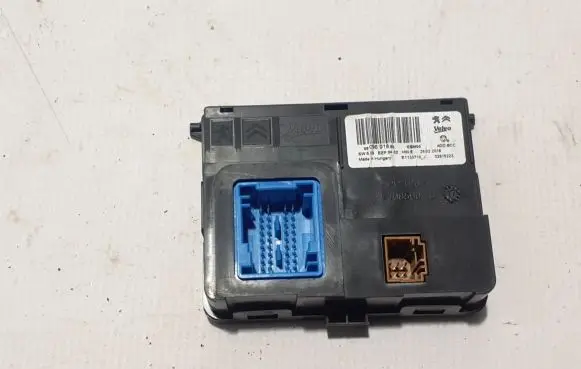 Peugeot 5008 Other control units/modules 9809891880