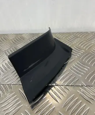 Rear/tail light trim molding