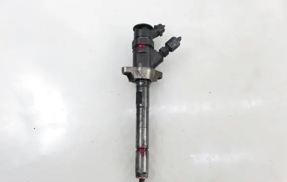 Peugeot Partner Fuel injector 0445110311