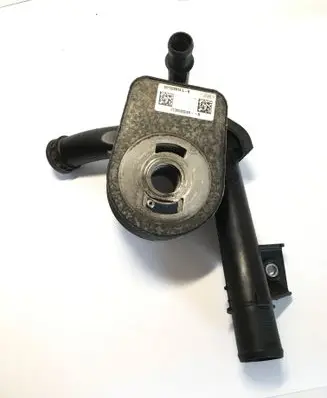 Nissan Juke I F15 Oil filter mounting bracket 213059324R 044653 210473766R