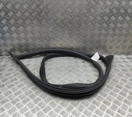 Tesla Model 3 Rubber seal front coupe door 191098301A