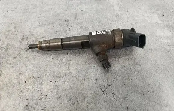Peugeot 5008 Fuel injector 0445110566