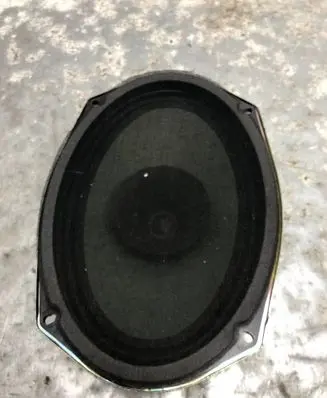Rear door speaker