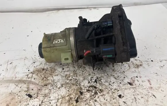 Renault Trafic III (X82) Power steering pump 93868479 A0039511D 491101208R