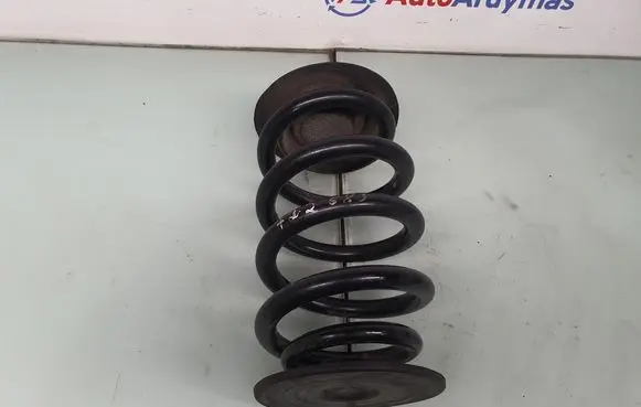 BMW X3 E83 Rear coil spring