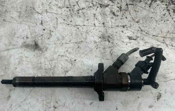Citroen C4 I Picasso Fuel injector 0445110259 328480
