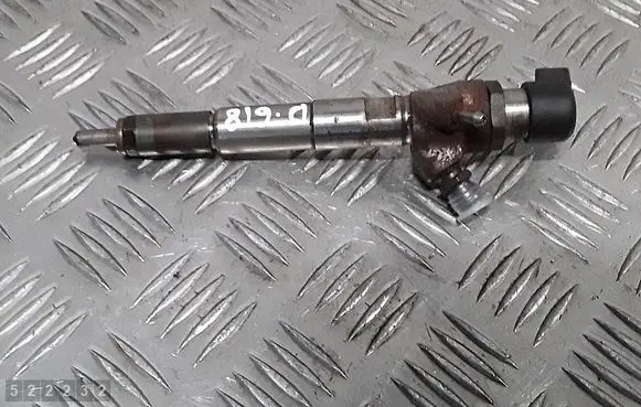 Dacia Duster Fuel injector H8200704191 166008052R