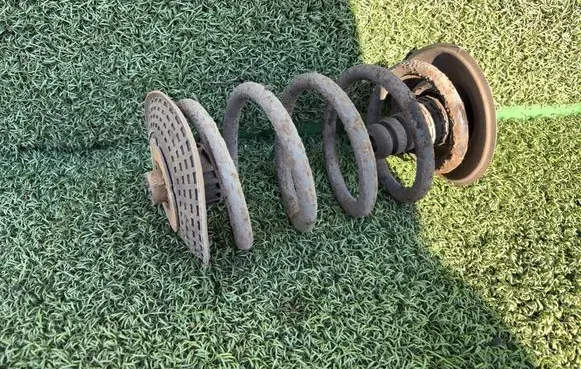 Rear coil spring