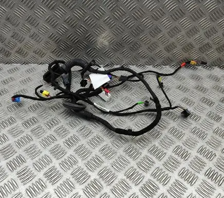 Cupra Formentor Front door wiring loom 5FC971121E