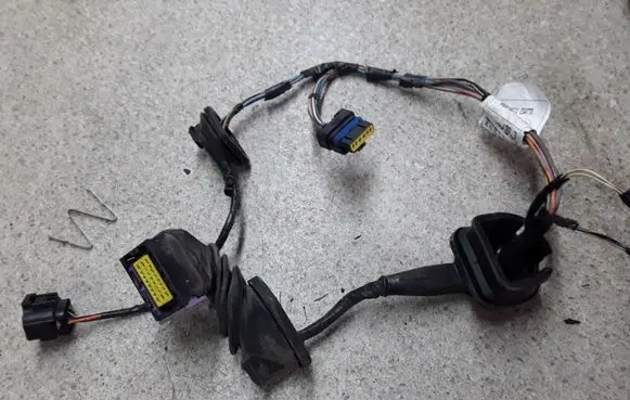 Rear door wiring loom