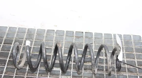 Volkswagen PASSAT B8 Rear coil spring
