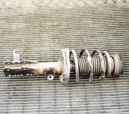 Opel Insignia A Front shock absorber/damper