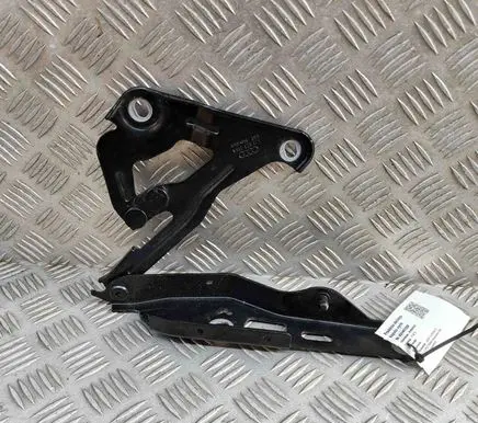 Audi E-tron GT Engine bonnet/hood hinges 4J3823296A