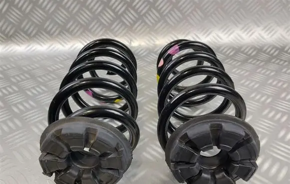 Smart ForFour II W453 Rear coil spring