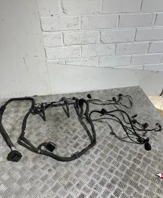 Engine installation wiring loom
