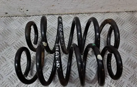 Rear coil spring