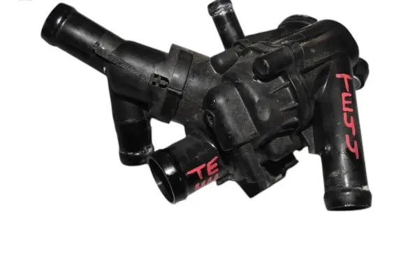 Thermostat/thermostat housing