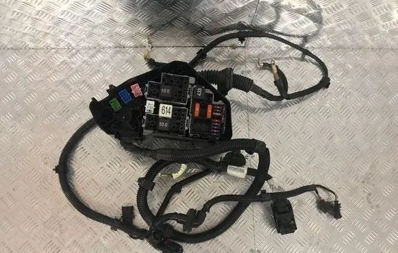 Porsche Cayenne (9PA) Other wiring loom
