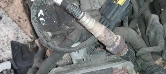Fiat Punto (188) Lambda probe sensor