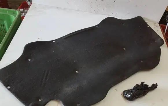 Engine bonnet/hood sound/heat insulation