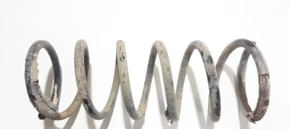 Rear coil spring