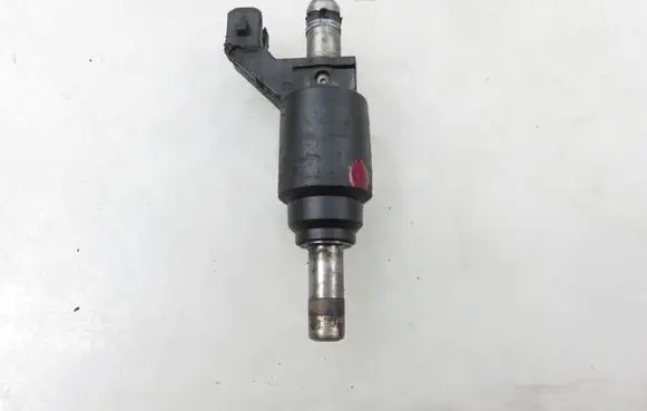 Opel Vectra C Fuel injector 24404012