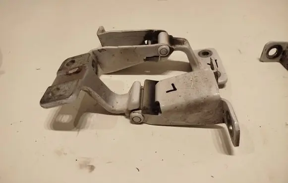 Renault Kangoo II Front door hinge set 