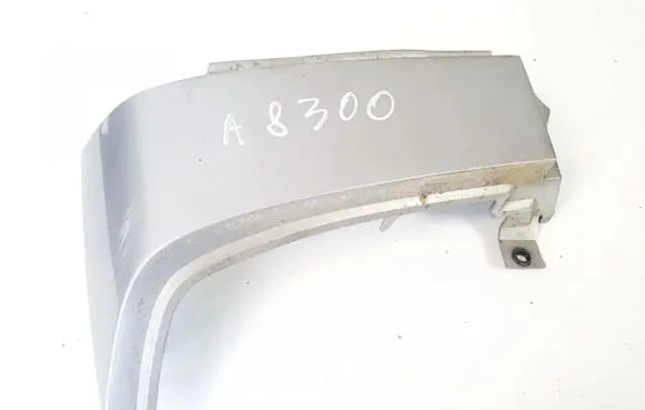 Rear/tail light trim molding