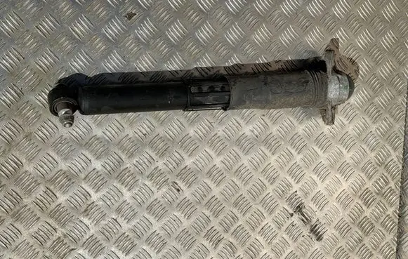 Volkswagen ID.4 Rear shock absorber/damper 1EA512013AS