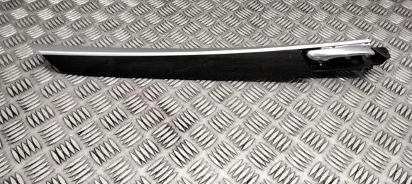 BMW X5 E70 Rear door card trim 4993201