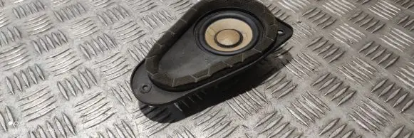 Panel speaker