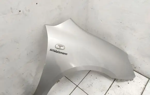 KIA Carens II Fender