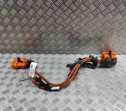 Audi Q4 Sportback e-tron Other wiring loom 1EA973732X 1EA973733X