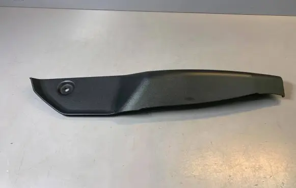 Rear/tail light trim molding