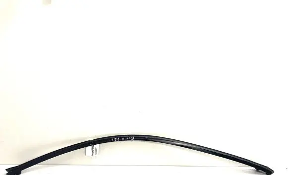 BMW X6 E71 Front door glass trim molding 1234567