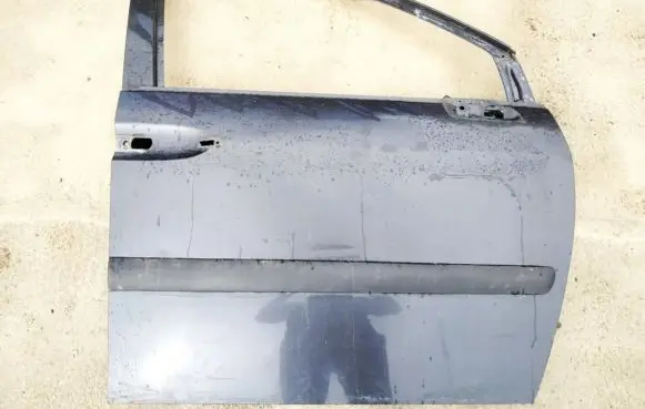 Citroen C8 Front door pilkos